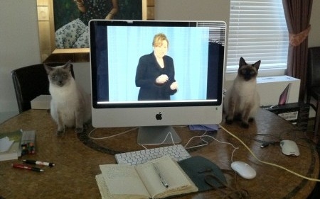 Lisa Houston, TX Here’s a photo of my technical support team standing at the ready. The broadcast went so smoothly,...